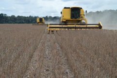 Basa vai investir até R$ 1 bi no agronegócio rondoniense em 2016