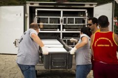 URGENTE:Corpo é encontrado em destroços de avião do dono da BIGSAL