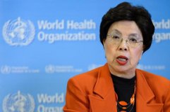 Zika Virus: OMS declara emergência internacional em saúde pública