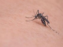 Primeiro caso de zika vírus é confirmado em Ariquemes