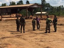 Operação apreende madeiras extraídas de terras indígenas em Rondônia