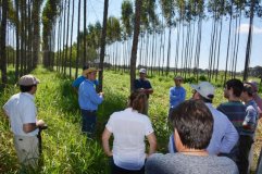 Produção agropecuária de Rondônia chama a atenção de argentinos