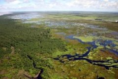 Setur integra conselho do Parque Nacional Mapinguari