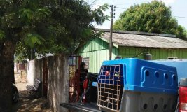 Em Cacoal acusado de tráfico de drogas e receptação é preso pela PM