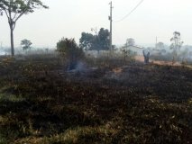Incêndio em pastagem assusta moradores em Alta Floresta do Oeste