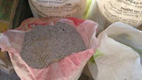 Bovinos são abatidos em Costa Marques por ingerirem alimento proibido