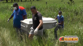 Corpo é encontrado à margem da RO-010, em Rolim de Moura