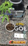 Goe aborda suspeitos e localiza um cigarro de maconha em Cacoal
