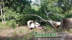 Trabalhador tem pé esmagado por árvore na zona rural de Rolim de Moura