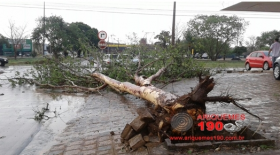 Chuva e ventania causa destruição em vários pontos de Ariquemes