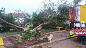 Chuva e vento forte assustam população e causam prejuízo em Buritis