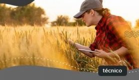 Precisa-se de Técnica em Agropecuária 