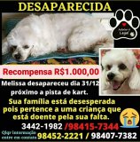 Família paga MIL REAIS de recompensa pra quem encontrar Melissa 