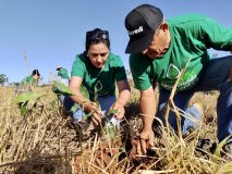 Sicredi inclui sustentabilidade na estratégia de gestão
