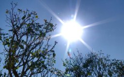 Calor, sol e céu claro neste sábado (15) em RO