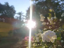 Sol, calor e céu cinza no sábado (29)