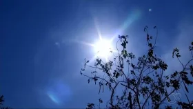 Umidade baixa, sol e céu claro na quinta (20) em Rondônia
