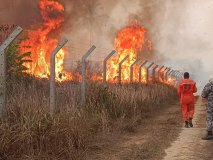 Governo de Rondônia decreta suspensão do uso do fogo por 90 dias para...