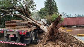 Temporal causa transtornos e prejuízos em Vilhena