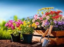 Uma pausa para a secura e as queimadas: chegou a primavera