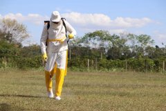 Decreto regulamenta lei estadual de agrotóxicos em Rondônia