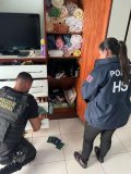 PF deflagra operação contra organização criminosa especializada no...