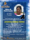 Nota de Falecimento: Aparecida Ferreira Freming