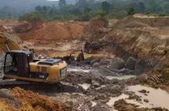 Justiça manda União e governo de RO combaterem garimpo ilegal perto da Terra...