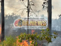Incêndio em área de mata, atrás do CTG, mobiliza bombeiros e moradores em...