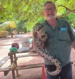 Jiboia de quase 2 metros é encontrada em galinheiro e morador a solta na...