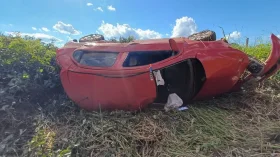 Carro capota na BR-429 após colisão com animal na pista; ocupantes são...