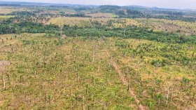 MP-RO pede R$ 90 milhões por desmatamento na Amazônia