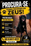 Zeus está desaparecido em Rolim