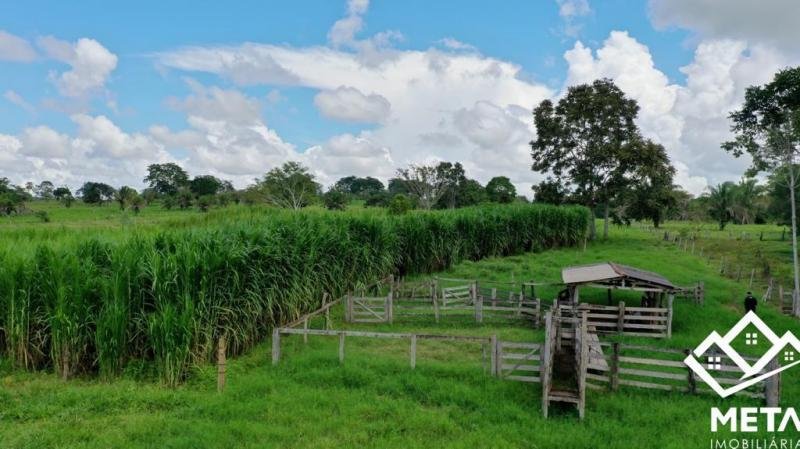 Foto 12 da matéria: Sítio a venda em São Felipe