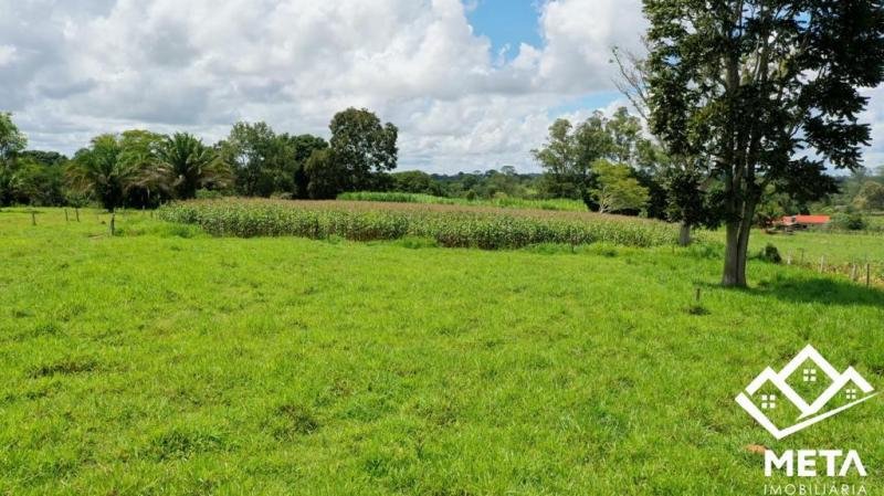 Foto 20 da matéria: Sítio a venda em São Felipe