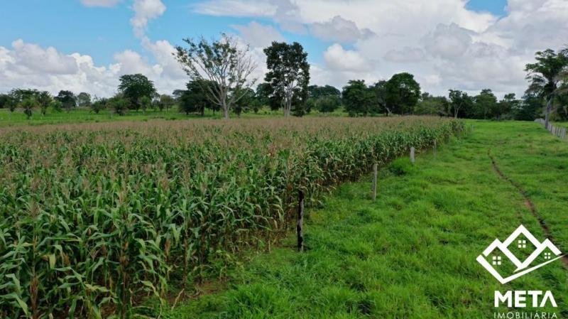 Foto 11 da matéria: Sítio a venda em São Felipe