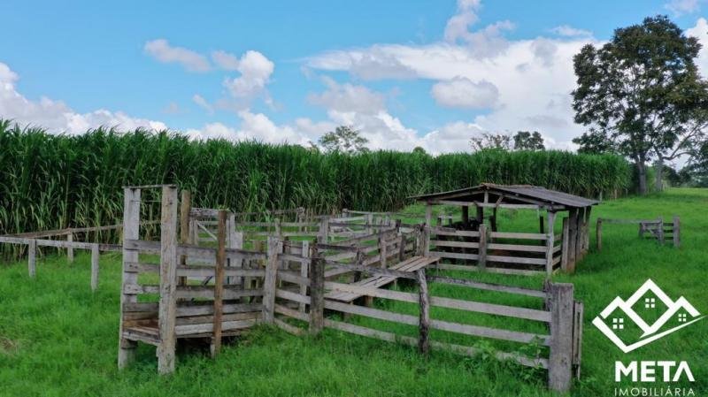 Foto 13 da matéria: Sítio a venda em São Felipe