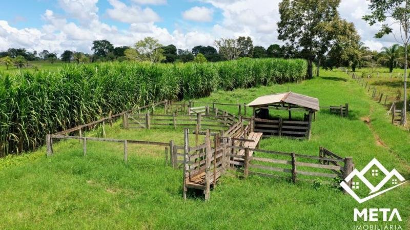 Foto 14 da matéria: Sítio a venda em São Felipe
