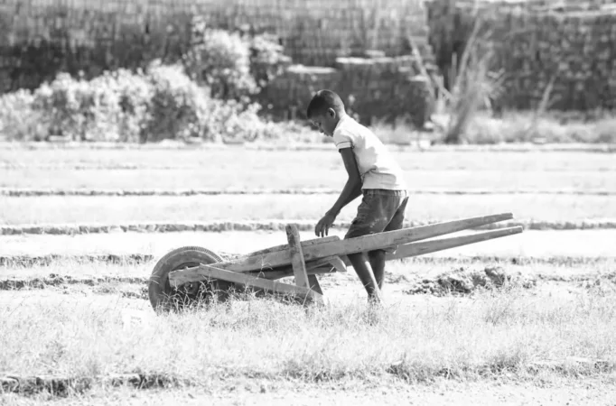Justiça obriga fazenda a custear tratamento de adolescente ferido em trabalho...
