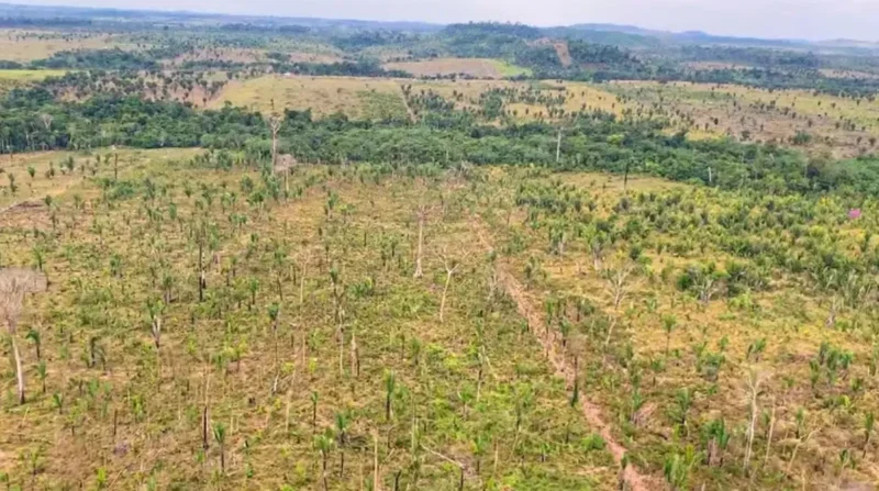 MP-RO pede R$ 90 milhões por desmatamento na Amazônia