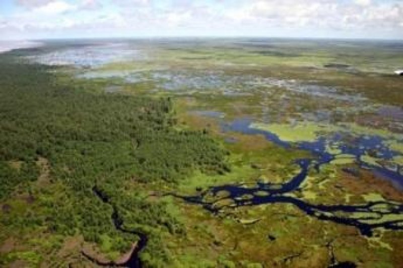 Setur integra conselho do Parque Nacional Mapinguari