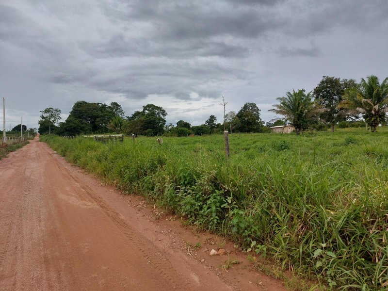 Oportunidade: Chácara à venda em Rolim de Moura
