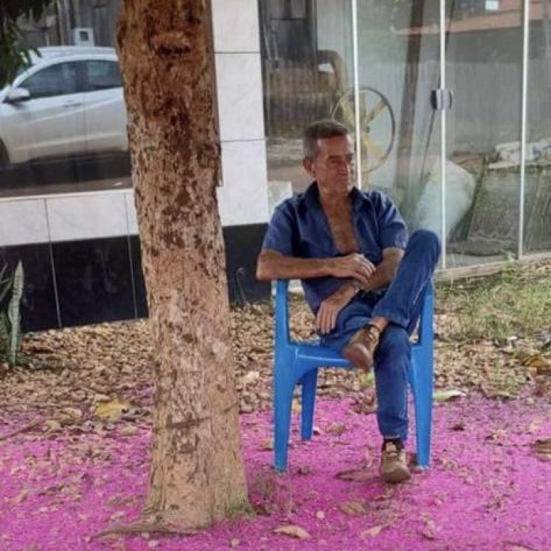 Divulgação 