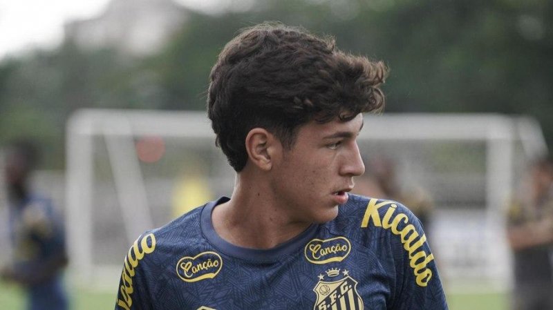 (Foto: Raul Baretta/ Santos FC)