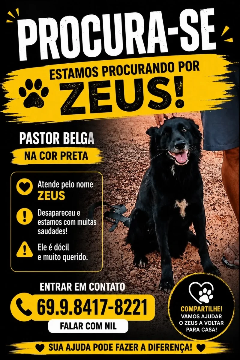 Zeus está desaparecido em Rolim 
