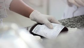 Fhemeron inicia campanha voltada aos jovens de 16 a 18 anos para reforçar...