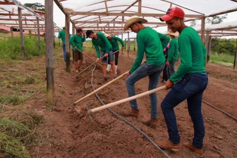 Instituto Abaitará começa 2016 com perspectiva de comercializar até dez mil frangos caipirão e semi-caipira
