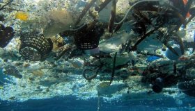 Oceanos terão mais plástico do que peixes em 2050, diz estudo