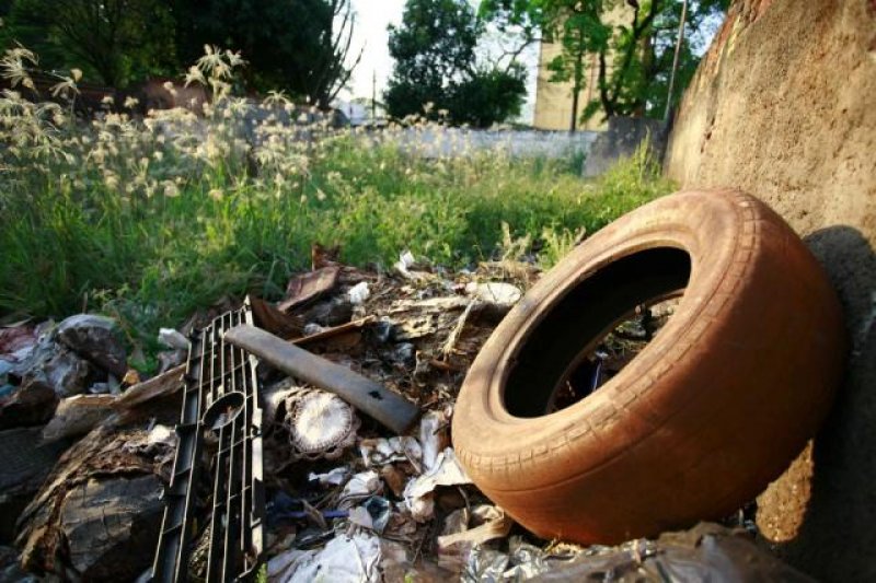 Prefeitura vai multar em até R$ 39 mil quintais sujos com foco do Aedes, em Rolim de Moura