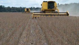 Basa vai investir até R$ 1 bi no agronegócio rondoniense em 2016